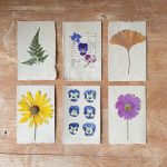 Discover detailed herbarium cards with pressed flowers on a rustic wooden table, showcasing botanical art.